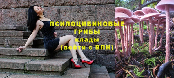 spice Алексин
