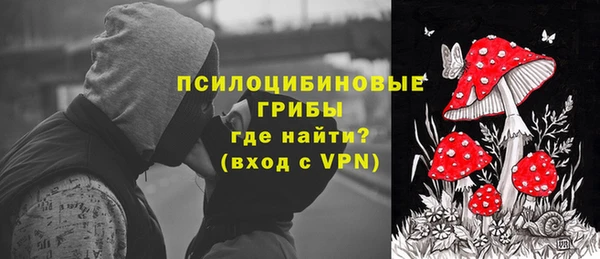 прущие грибы Алзамай