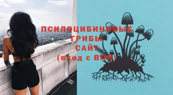 Альфа ПВП Медвежьегорск