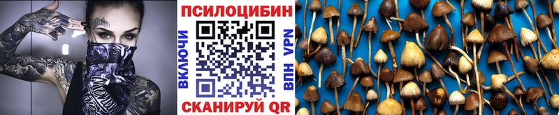 Галлюциногенные грибы Cubensis  Северодвинск 